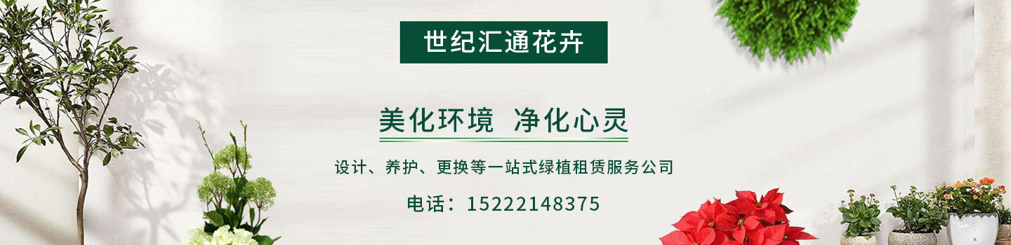 列表页大图