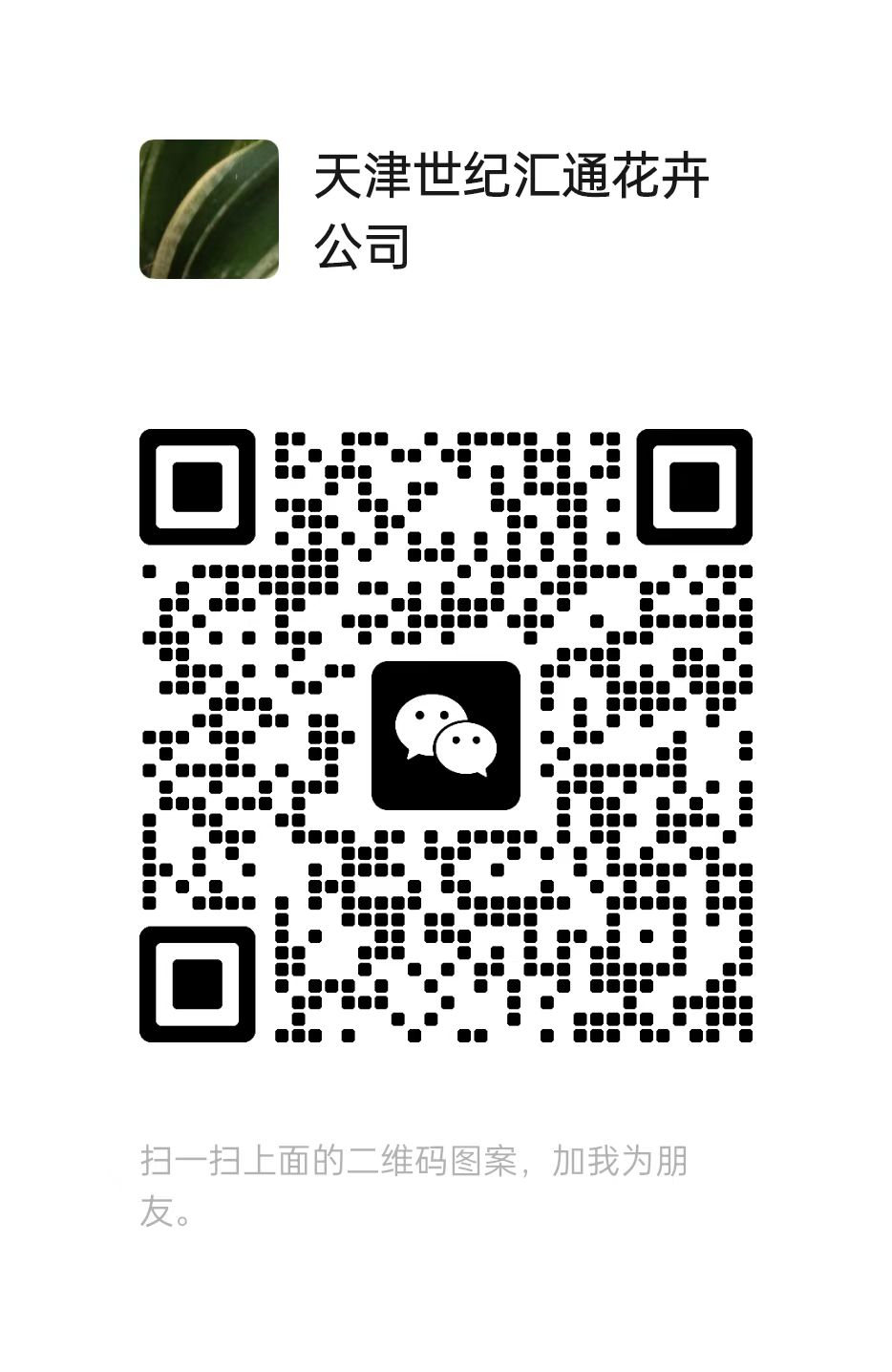 1745046675139517.jpg
