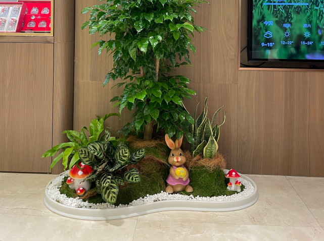 高端月子会所绿植案例.png