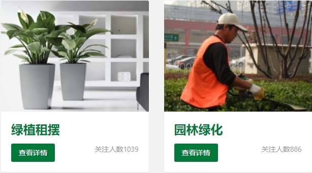 鲜花绿植租赁