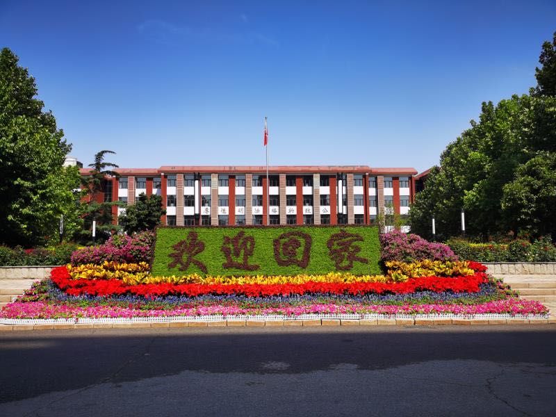 节日花坛